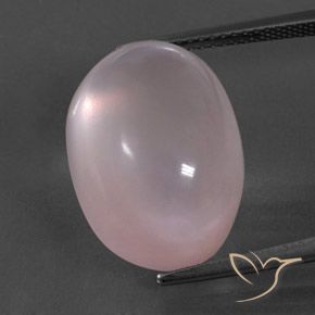 19.49ct Natural Rosado claro Cuarzo rosa, Ovalada, Transparente