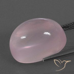 Cuarzo rosa Rosado coral natural de 21.24 ct, Ovalada, Transparente