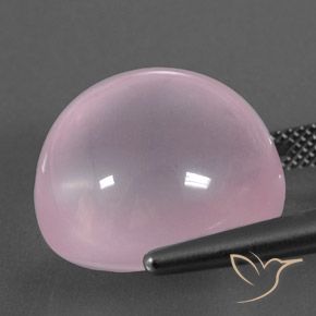 Cuarzo rosa Rosado claro natural de 24.80 ct, Ovalada, Transparente / Translúcido