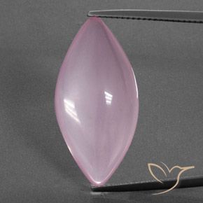 16.11ct Natural Rosa rosado Cuarzo rosa, Marquesa, Transparente