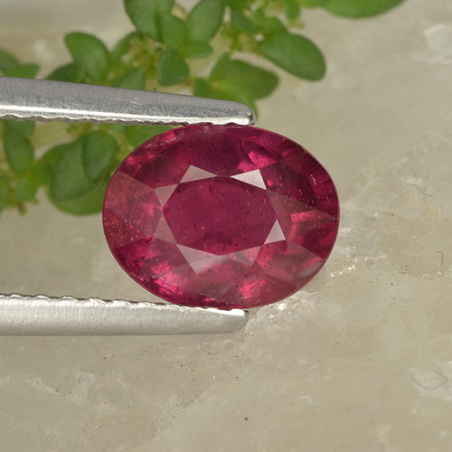 Rubí Carmesí intenso natural de 1.74 ct, Corte Óvalo, VS-SI