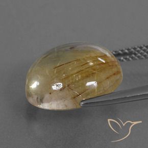 Cuarzo rutilo Marrón-dorado muy claro natural de 7.22 ct, Redondo, Transparente