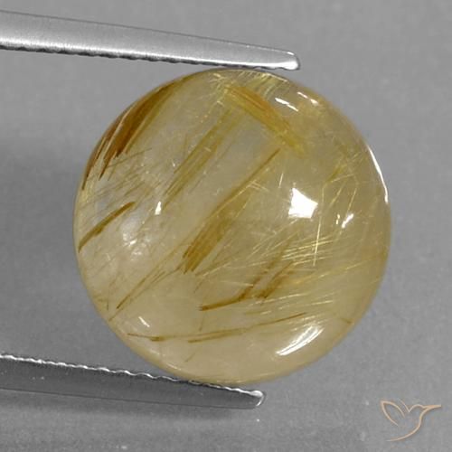 9.04ct Natural Amarillo dijón Cuarzo rutilo, Redondo, Transparente