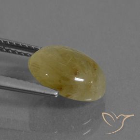 Cuarzo rutilo Amarillo abejorro natural de 3.22 ct, Ovalada, Transparente