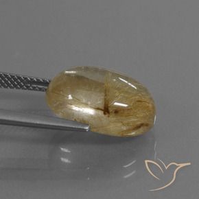 Cuarzo rutilo Marrón-dorado muy claro natural de 8.05 ct, Ovalada, Transparente