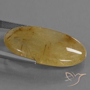 Cuarzo rutilo Amarillo dorado natural de 39.16 ct, Ovalada, Translúcido