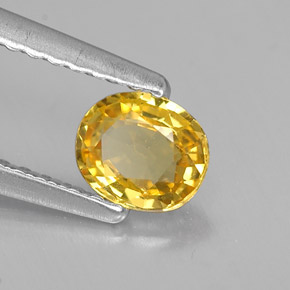Zafiro amarillo natural de 0,46 ct, corte óvalo, VVS-VS