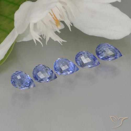 Gemas de zafiro intense blue  natural de 3,30 ct, briolette, VVS-VS