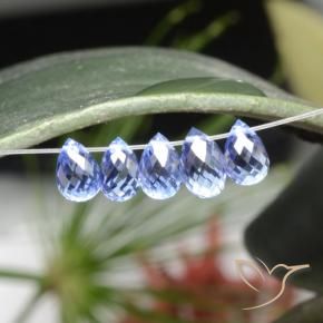 Gemas de Zafiro Azul pastel natural de 3.34 ct, Corte Briolette, VVS-VS