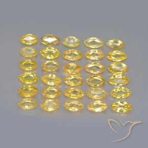 Gemas de zafiro amarillo natural de 3,68 ct, marquesa, VVS-VS