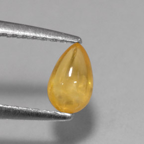 Zafiro amarillo natural de 0,59 ct, transparente, transparente / translúcido