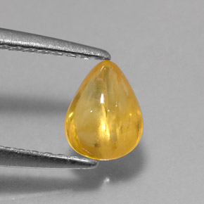 Zafiro amarillo natural de 0,79 ct, transparente, transparente / translúcido