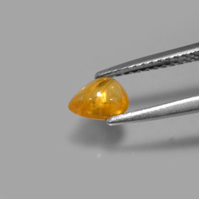 Zafiro amarillo natural de 0,75 ct, transparente, transparente / translúcido
