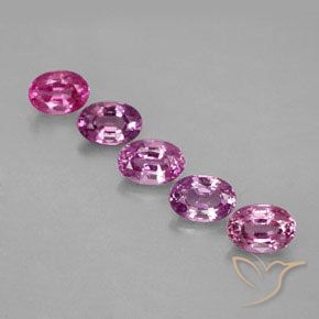 Gemas de Zafiro Multicolor natural de 3.34 ct, Ovalada, VVS-VS