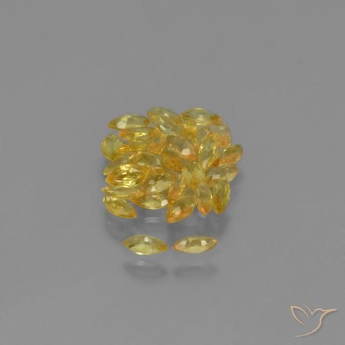 Gemas de Zafiro Amarillo natural de 2.83 ct, Marquesa, VVS-VS
