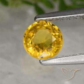 Zafiro Dorado natural de 0.64 ct, Redondo, VS