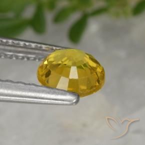 Zafiro Dorado natural de 0.64 ct, Redondo, VS