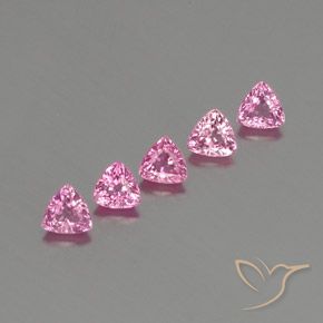 Gemas de Zafiro Rosa natural de 1.69 ct, Trillón, VS