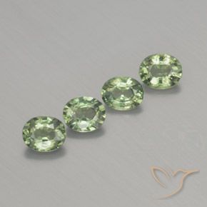 Gemas de Zafiro Verde salvia claro natural de 1.76 ct, Ovalada, VS