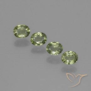 Gemas de Zafiro Verde bosque cálido natural de 1.73 ct, Ovalada, VS