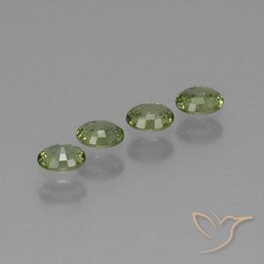 Gemas de Zafiro Verde bosque cálido natural de 1.73 ct, Ovalada, VS