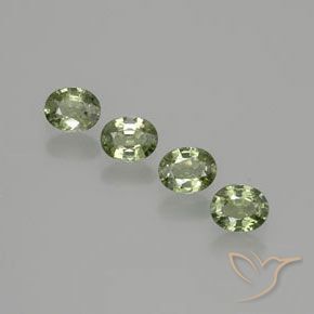 Gemas de Zafiro Verde bosque claro natural de 1.53 ct, Ovalada, VS