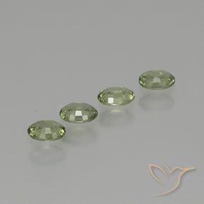 Gemas de Zafiro Verde bosque claro natural de 1.53 ct, Ovalada, VS