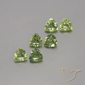 Gemas de Zafiro Verde cálido natural de 1.65 ct, Trillón, VVS-VS