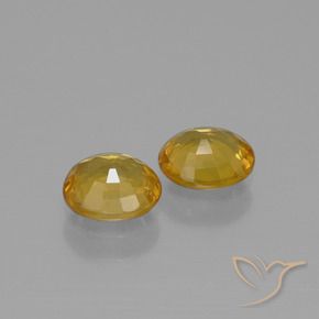 Gemas de Zafiro Dorado oscuro medio natural de 1.52 ct, Ovalada, VS
