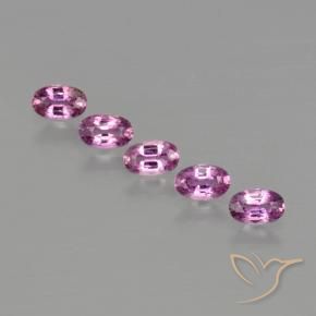 Gemas de Zafiro Rosado púrpura natural de 1.60 ct, Ovalada, VS