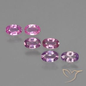 Gemas de Zafiro Púrpura rosado natural de 1.69 ct, Ovalada, VS