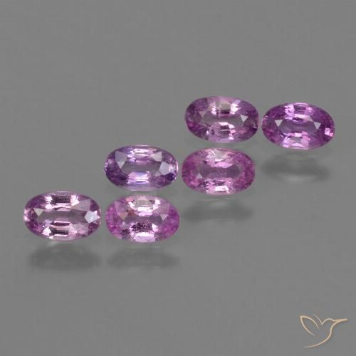 Gemas de Zafiro Púrpura rosáceo intenso natural de 1.54 ct, Ovalada, VS