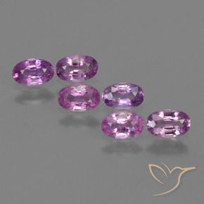 Gemas de Zafiro Púrpura rosáceo intenso natural de 1.54 ct, Ovalada, VS