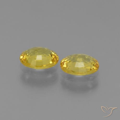 Gemas de Zafiro Amarillo medio natural de 1.31 ct, Ovalada, VVS-VS