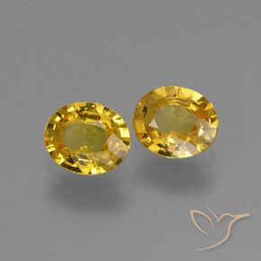 Gemas de Zafiro Dorado natural de 1.42 ct, Ovalada, VVS-VS