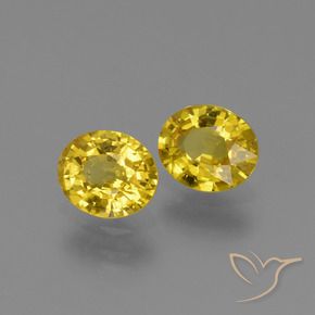 Gemas de Zafiro Amarillo natural de 1.48 ct, Ovalada, VS