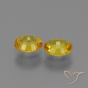 Gemas de Zafiro Amarillo natural de 1.48 ct, Ovalada, VS