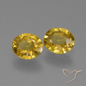 Gemas de Zafiro Dorado natural de 1.29 ct, Ovalada, VVS-VS