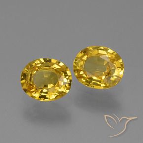Gemas de Zafiro Dorado natural de 1.49 ct, Ovalada, VS