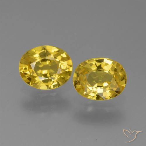 1.44ctw Natural Dorado amarillento Zafiro, Ovalada, VVS-VS