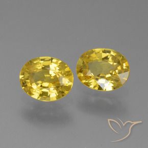 Gemas de Zafiro Dorado amarillento natural de 1.44 ct, Ovalada, VVS-VS
