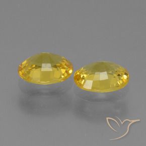Gemas de Zafiro Dorado amarillento natural de 1.44 ct, Ovalada, VVS-VS