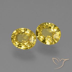 Gemas de Zafiro Amarillo medio natural de 1.41 ct, Ovalada, VVS