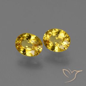 Gemas de Zafiro Amarillo miel natural de 1.43 ct, Ovalada, VVS-VS