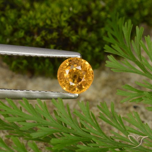 0.73ct Natural Dorado naranja oscuro Zafiro, Redondo, VS, Photo A