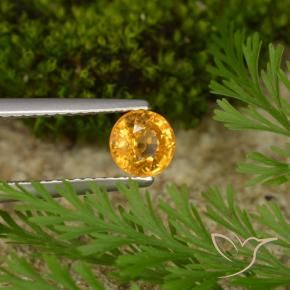Zafiro Dorado naranja oscuro natural de 0.73 ct, Redondo, VS