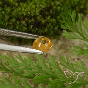 Zafiro Dorado naranja oscuro natural de 0.73 ct, Redondo, VS