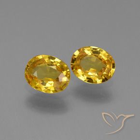 Gemas de Zafiro Dorado natural de 1.31 ct, Ovalada, VS