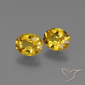 Gemas de Zafiro Dorado natural de 1.29 ct, Ovalada, VS