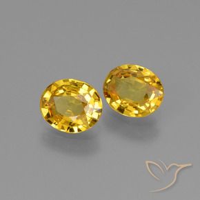 Gemas de Zafiro Dorado natural de 1.23 ct, Ovalada, VS
